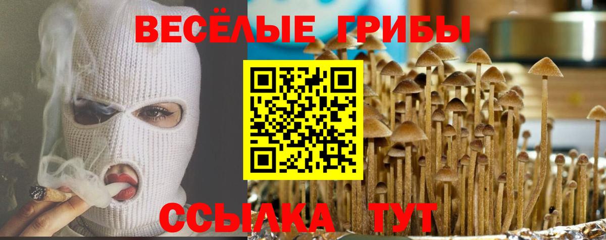 Псилоцибиновые грибы Psilocybine cubensis  Псилоцибиновые грибы прущие грибы  Вход с VPN  Сыктывкар 