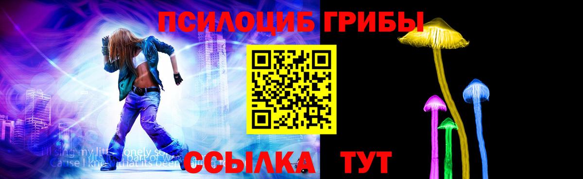 Галлюциногенные грибы прущие грибы Сыктывкар