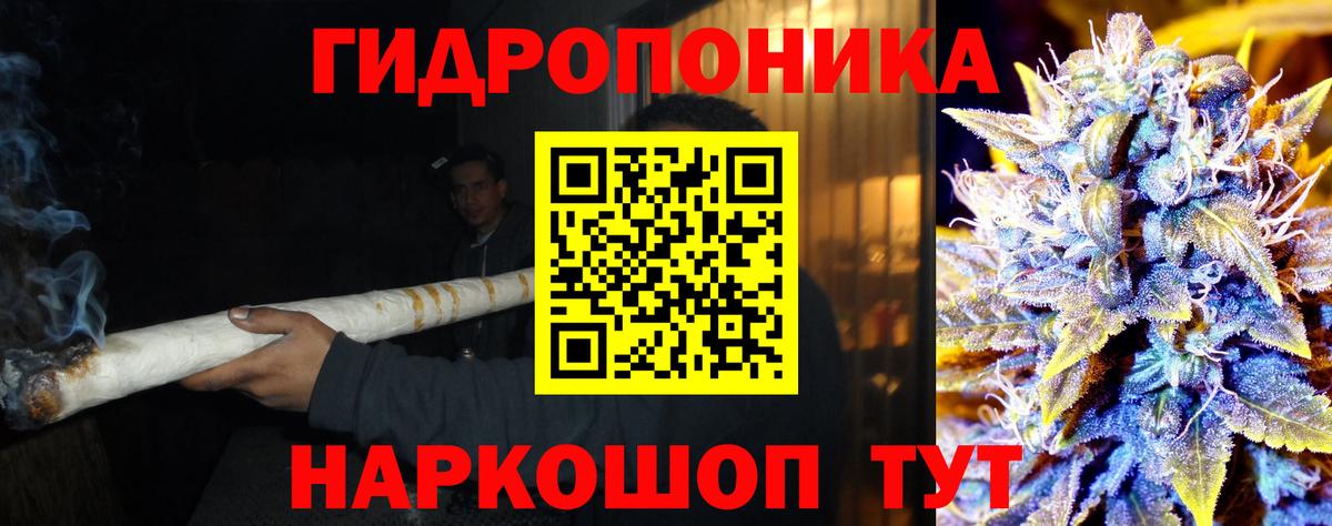 МАРИХУАНА конопля Сыктывкар